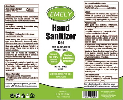 240 mL Gel (Emely Hand Sanitizer Gel 240 mL)